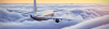 Flieg in den Schnee